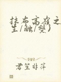 抹布高岭之花(生/触/双)封面