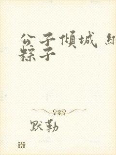 公子倾城 维和粽子封面