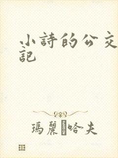 小诗的公交车日记