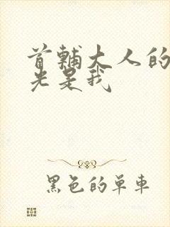 首辅大人的白月光是我