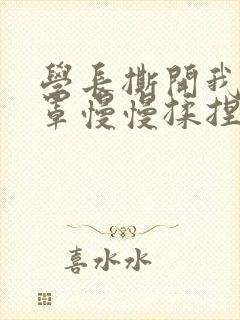 学长撕开我的乳罩慢慢揉捏小说封面