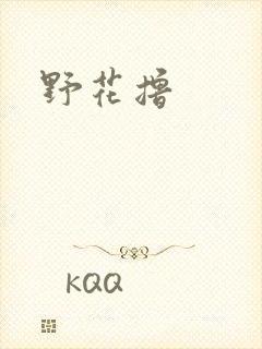 野花撸封面