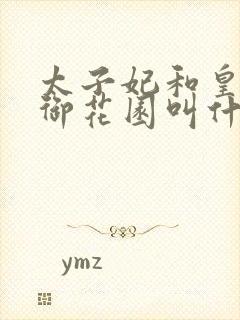 太子妃和皇帝在御花园叫什么小说