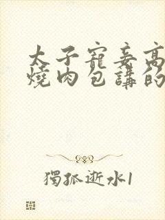 太子宠妾高肉红烧肉包讲的什么