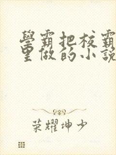 学霸把校霸往死里做的小说封面