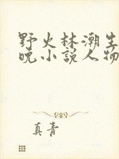 野火林潮生林晚晚小说人物野火