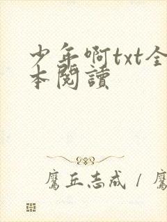 少年啊txt全本阅读