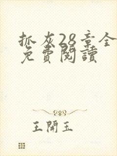 抓灰28章全部免费阅读