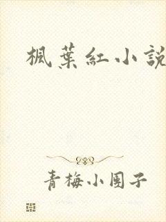 枫叶红小说