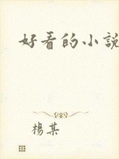 好看的小说h封面