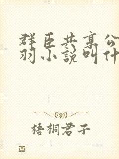 群臣共享公主银羽小说叫什么