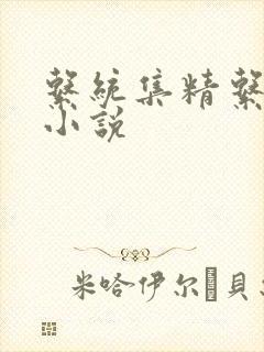 系统集精系统 小说