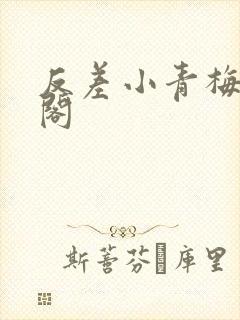 反差小青梅笔趣阁封面