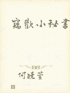 窃欢小秘书
