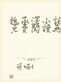 魏承泽小说全文免费阅读无弹窗笔趣