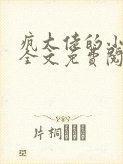 疯大佬的小玩物全文免费阅读小说