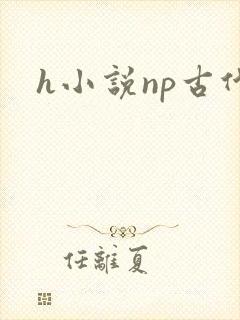 h小说np古代