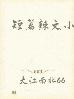 短篇辣文小说