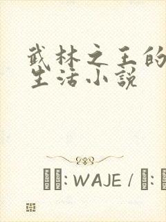 武林之王的退隐生活小说