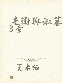 老卫与淑蓉第13章封面