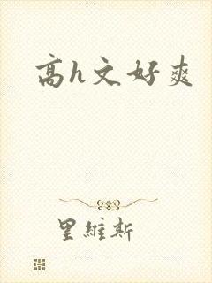 高h文好爽