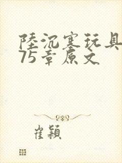 陆沉塞玩具高速75章原文