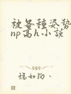 被各种姿势玩弄np高h小说