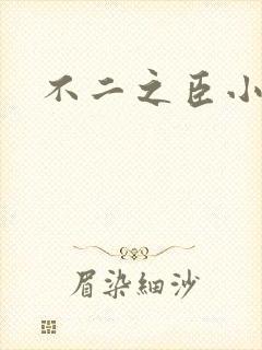 不二之臣小说