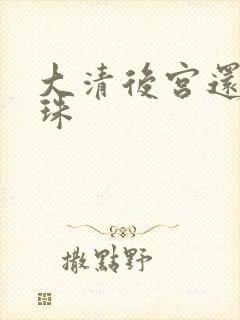 大清后宫还君明珠