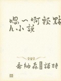 嗯～啊轻点hhh小说