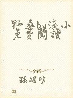 野桑by浅小说免费阅读