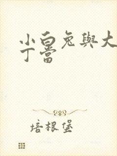 小白兔与大灰狼丁当封面