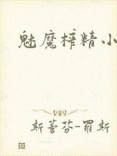 魅魔榨精小说封面