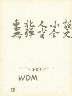 东北人小说免费无弹窗全文阅读