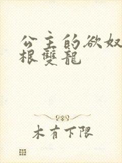 公主的欲奴h四根双龙