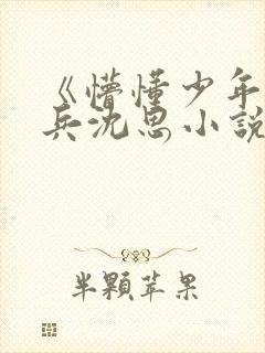 《懵懂少年》李兵沈思小说在线阅读