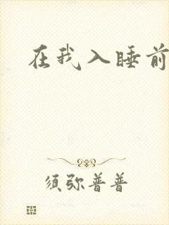 在我入睡前封面