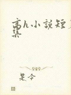 高h小说短篇合集封面