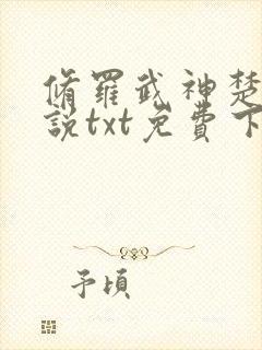 修罗武神楚枫小说txt免费下载