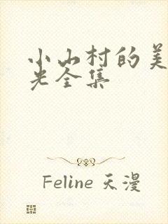 小山村的美好时光全集封面