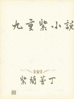 九重紫小说