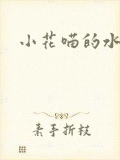 小花喵的水蜜桃封面