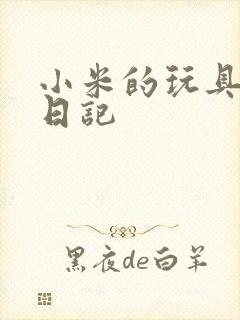 小米的玩具羞辱日记