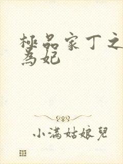 极品家丁之册母为妃