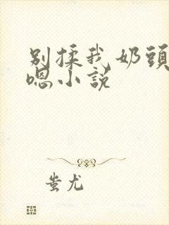 别揉我奶头啊嗯嗯小说