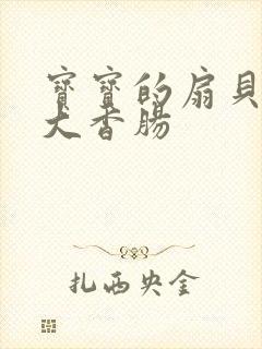 宝宝的扇贝想吃大香肠