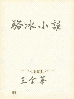 骆冰小说