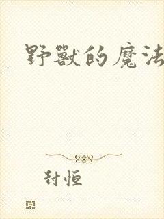 野兽的魔法师封面