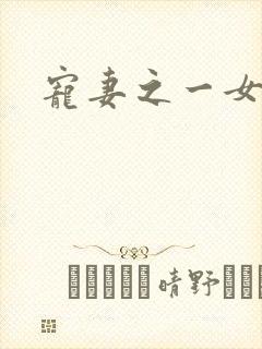 宠妻之一女二夫