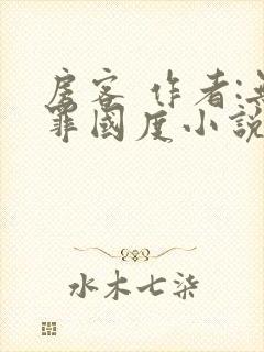 房客 作者:无罪国度小说全文免费封面